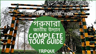 Gorumara National park Tour GuideGorumara Jungle Safari Full detailsJeep SafariElephant Safari [upl. by Eiralav]