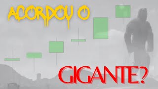 ACORDOU O GIGANTE ibovespa [upl. by Einttirb]