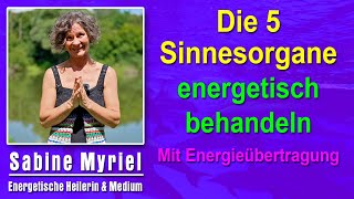 Die 5 Sinnesorgane energetisch behandeln  Sabine Myriel Emge  Mit Energieübertragung [upl. by Dier]