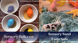 Sensorial Activities Montessori  Easy Activities for toddlers sensoryplay montessoriactivities [upl. by Boony757]