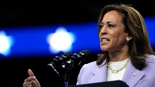 ‘Absolute meltdown’ Lefties lash out after Kamala’s Fox News interview [upl. by Enelrak]