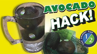 Avocado Hack Does it Work How to Stop Avocados from spoiling [upl. by Lyret]