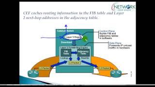 Understanding Cisco Express forwarding [upl. by Abdulla]