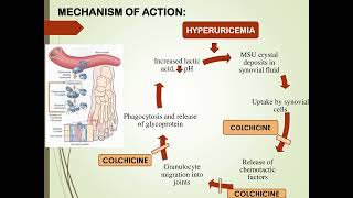 MBBS Classroom Presentation by  DrRLavanyaMDDO  Pharmacology  srilalithambigaimedicalcol5055 [upl. by Alys]