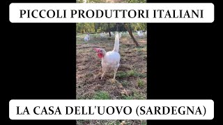 PICCOLI PRODUTTORI ITALIANI uova biologiche La Casa delluovo Sardegna [upl. by Nylrebma198]