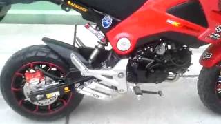 Honda Grom MSX125 IXIL Dual Hyperlow Full Exhaust Low Mount [upl. by Alekehs]