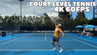 Denis Shapovalov Court Level Practice 2024  Groundstrokes amp Serves 4K 60FPS [upl. by Nobell]