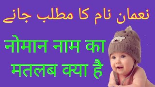 Alfi Name Ki Meaning In Urdu  Alfi Name Ka Matlab Kya Hota Hai [upl. by Hilliard]