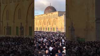 masjid alAksha sad 😭 status video justiceforpalestine freepalestine [upl. by Merlina]