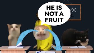 BANANA CAT GETS EMOTIONAL IN THE CLASS 🐱🥹 bananacat happycat animation [upl. by Ranit]