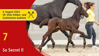 49th Verden Elite Foal OnLiveAuction Aug 4th No 7 So Secret ll by Secret  Finest [upl. by Matthiew]