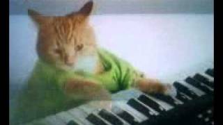 Pistachio Keyboard Cat [upl. by Desireah]