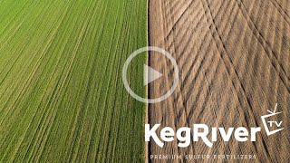 Keg River TV  Does Elemental Sulfur Help Build Soil Microbes [upl. by Joaquin]