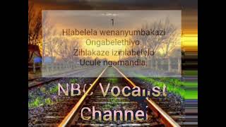 Hlabelela Wena NyumbakaziMinenhle Buyiswayo ft Phiwarh Ndunakazi [upl. by Dempsey]