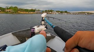 Merrimack River Striped Bass Fishing May 2024 [upl. by Rube]