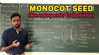 Monocot Seed Non endospermic Exalbuminous  Flowering Plants  Explained by Dr Yogesh [upl. by Reffinnej913]