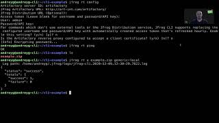 How to configure JFrog CLI to work with Artifactory [upl. by Anorahs234]