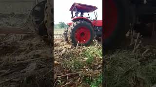 the red tractorshorts viralvideos [upl. by Brick]