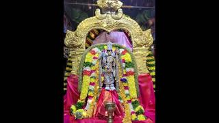 Madurai meenakshi amman 🙏🙏 trending shorts god devotional navaratri amman pooja alangaram [upl. by Prader]