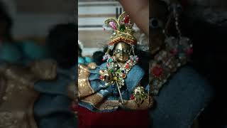 Radhe Radhe [upl. by Ranzini]