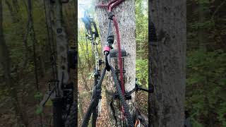 Whitetail Rut heating up in Tennessee archeryhunting whitetails deerhunting whitetailrut [upl. by Nohtahoj]