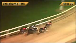 Bockos Diamond  BoyleSports Irish Greyhound Derby Quarter Final [upl. by Laon111]