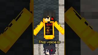 Ethos Voice Glitch In Minecraft [upl. by Eirrol]