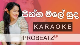 Pinna Male Suda  PROBEATZ LK  sinhalakaraoke Without Voice FLASHING Lyrics  පින්න මලේ සුද [upl. by Aerda]