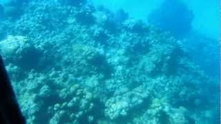 Grand Cayman Wreck of the Balboa view from Submarine [upl. by Nadia]