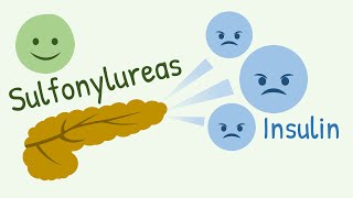 Mechanism of Action of Sulfonylureas and Meglitinide Analogs [upl. by Singhal]