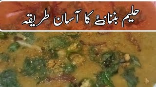 How to make mix shan Haleem  Hyderabadi Haleem  Haleem Recipe [upl. by Pollitt870]