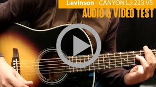 Levinson Guitars  CANYON LJ223 VS [upl. by Llemart]