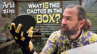 An epic cactus mystery unboxing from one of Australia’s most experienced cacti growers [upl. by Clarita822]