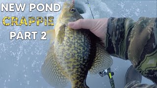 New Pond Crappie Part 2 They got bigger throughout the morning Maine Ice Fishing 2023 [upl. by Auhesoj]