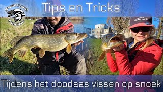 TIPS en TRICKS tijdens het doodaas vissen op snoek [upl. by Acinomed87]