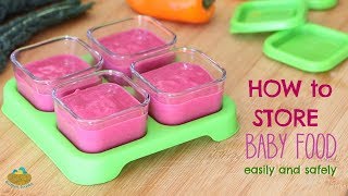 How to Safely Store Baby Food [upl. by Bisset665]