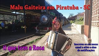 Malu Gaiteira em Piratuba no Trem  O que tem a rosa 37 [upl. by Elrebma]