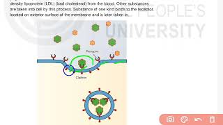 MZO001📚 UNIT5👉 Secondary Active Transport 📚💯science ignou msc msczoology biology cellbiology [upl. by Nnylf]