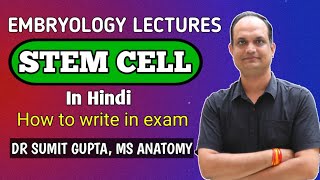 STEM CELL  How to write answer in exam [upl. by Eelyam611]