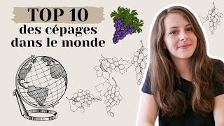 TOP 10 des cépages les plus plantés au monde 🌎 [upl. by Relyat691]