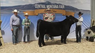 Lewistown hosts annual Central Montana Fair [upl. by Sunil]