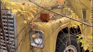 Abandon Old School Bus RV Found in The Woods [upl. by Yema]