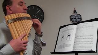 Teach yourself Pan Flute Easy lessons Study 1 to 8 [upl. by Fogel]