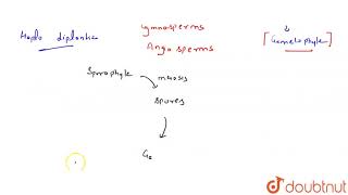 How many of these organisms show haplodiplonticlife cycle SphagnumVolvox  Ulothrix Marchant [upl. by Anirrehs339]