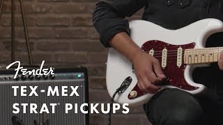 TexMex Pickups  Fender [upl. by Noletta]