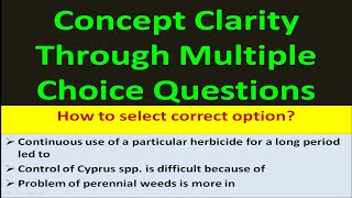 Concept Clarity Through Multiple Choice Questions [upl. by Ehcram]