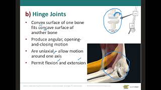 Types of synovial joints [upl. by Joeann111]