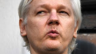 Julian Assange Whistleblower mit vielen Gesichtern [upl. by Solokin832]