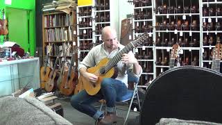 2014 Gianni Angelo Pedrini 10 String Classical Guitar Chitarra decacorde [upl. by Nnylsoj424]