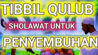 SHOLAWAT TIBBIL QULUB SHOLAWAT PENYEMBUH SAKIT [upl. by Innes450]